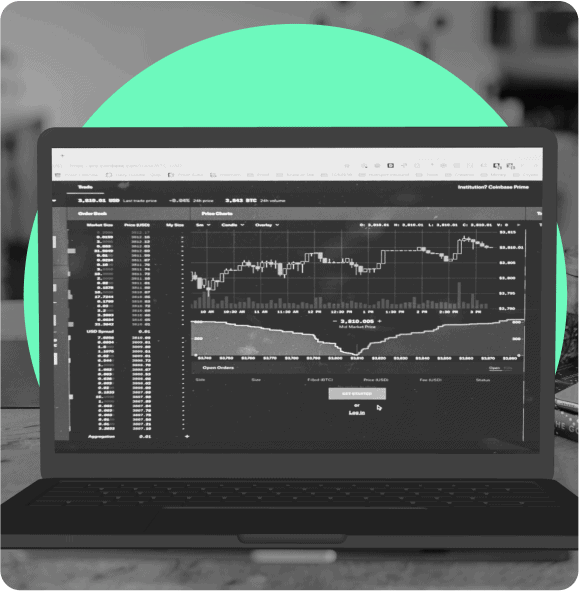 Black and white laptop showing financial stats